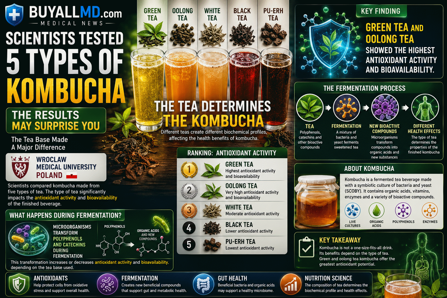 Kombucha made from five tea types: green, black, white, oolong, and pu-erh — antioxidant comparison study