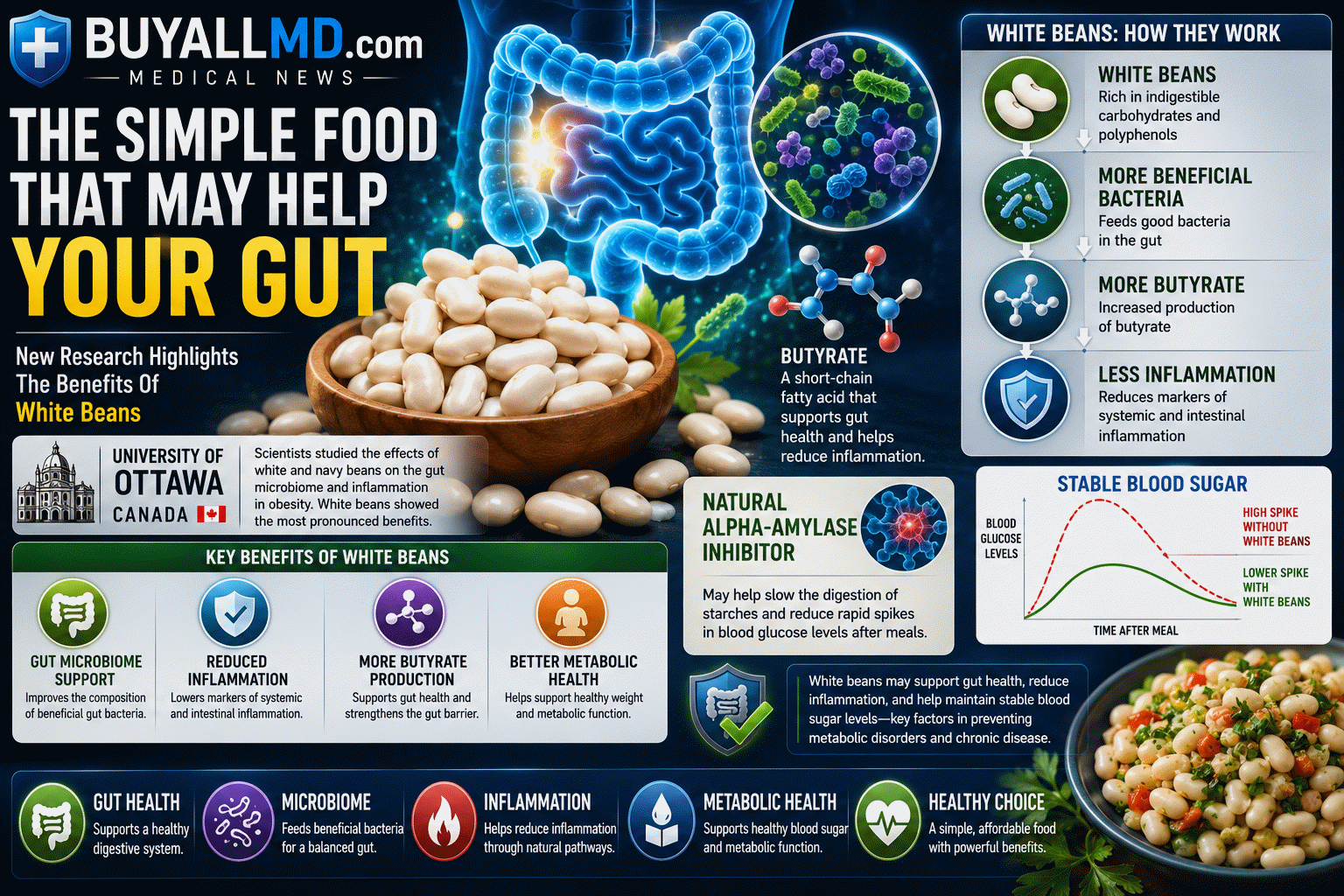 White beans and gut microbiome research: impact on inflammation and metabolic health