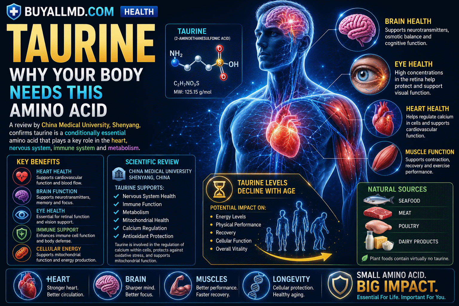 Taurine — conditionally essential amino acid found in heart, brain, retina, and muscles; supports cardiovascular health, nervous system, immunity, and metabolism